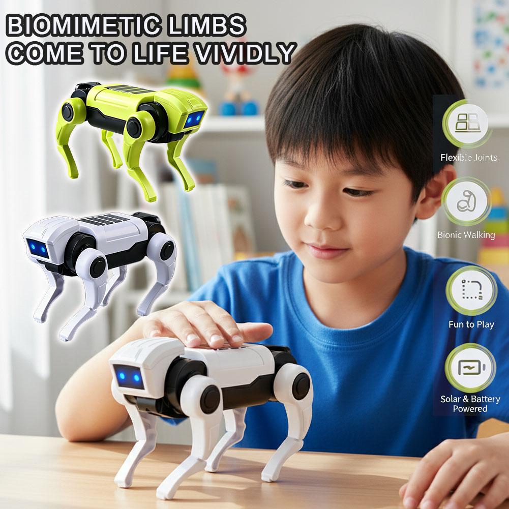 DIY-montage RC Robot Hond Spee - Science Project Diy recensie en prijs