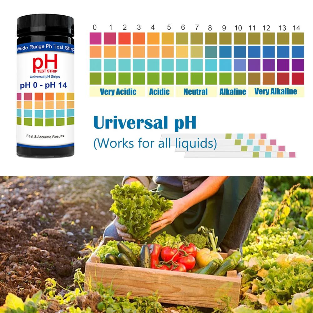100 stuks multifunctionele chl - Ph Strip Test recensie en prijs